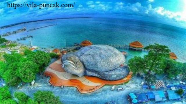 Mengulas Kura-kura Ocean Park Jepara