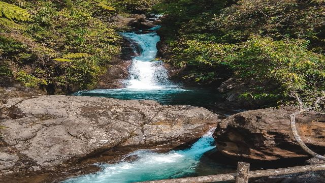 Curug Mariuk: Pesona Air Terjun Tersembunyi di Kaki Gunung Gede Pangrango